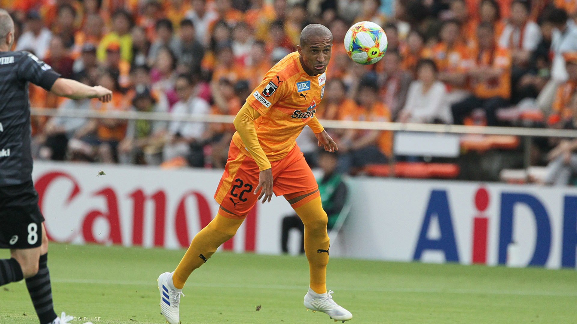 player_visual_image