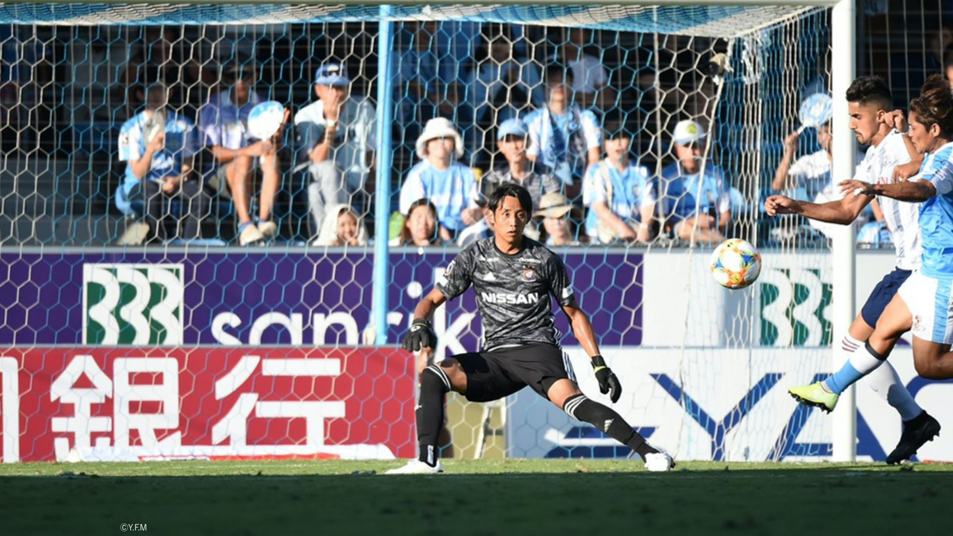player_visual_image